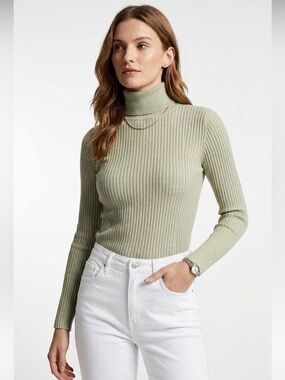 Banana Republic Sage Green Ribbed Turtleneck Sweater Size Small Cotton